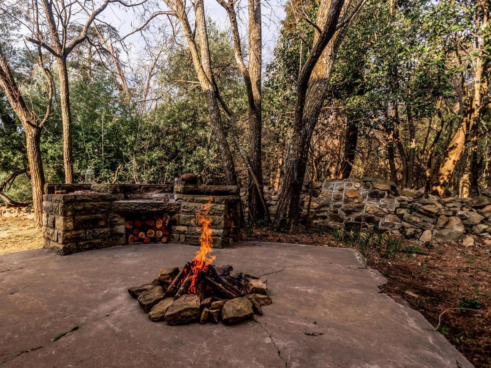 Buffalo Hills Private Game Reserve Harrismith Zimmer foto